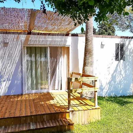 Apartamento Mery Oliva Чиклана-де-ла-Фронтера Экстерьер фото
